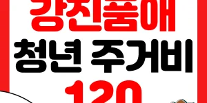 강진품애 청년 주거비 지원