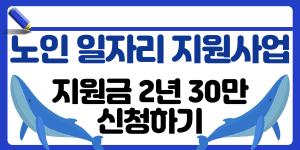 노인 일자리 지원사업